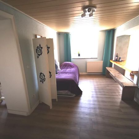 Mooi Ruim Appartement In Antieke Stadsboerderij Schönecken Εξωτερικό φωτογραφία