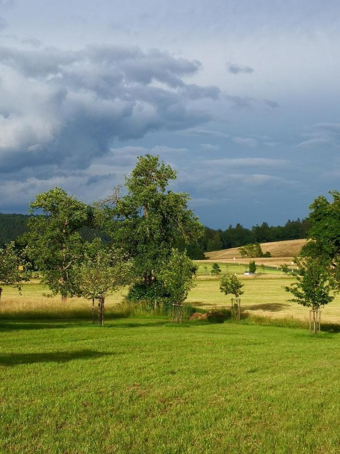 Mooi Ruim Appartement In Antieke Stadsboerderij Schönecken Εξωτερικό φωτογραφία