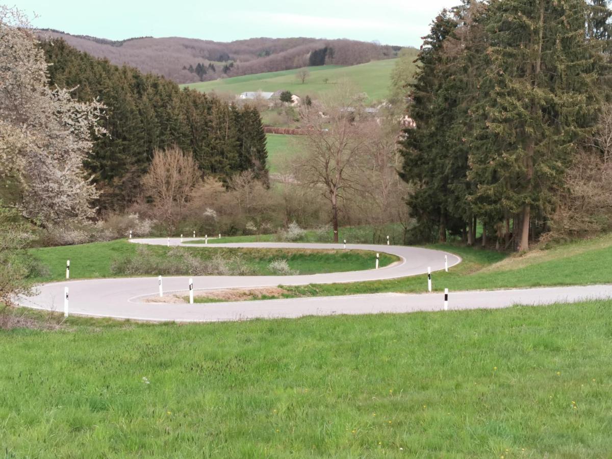 Mooi Ruim Appartement In Antieke Stadsboerderij Schönecken Εξωτερικό φωτογραφία