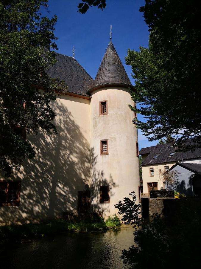Mooi Ruim Appartement In Antieke Stadsboerderij Schönecken Εξωτερικό φωτογραφία