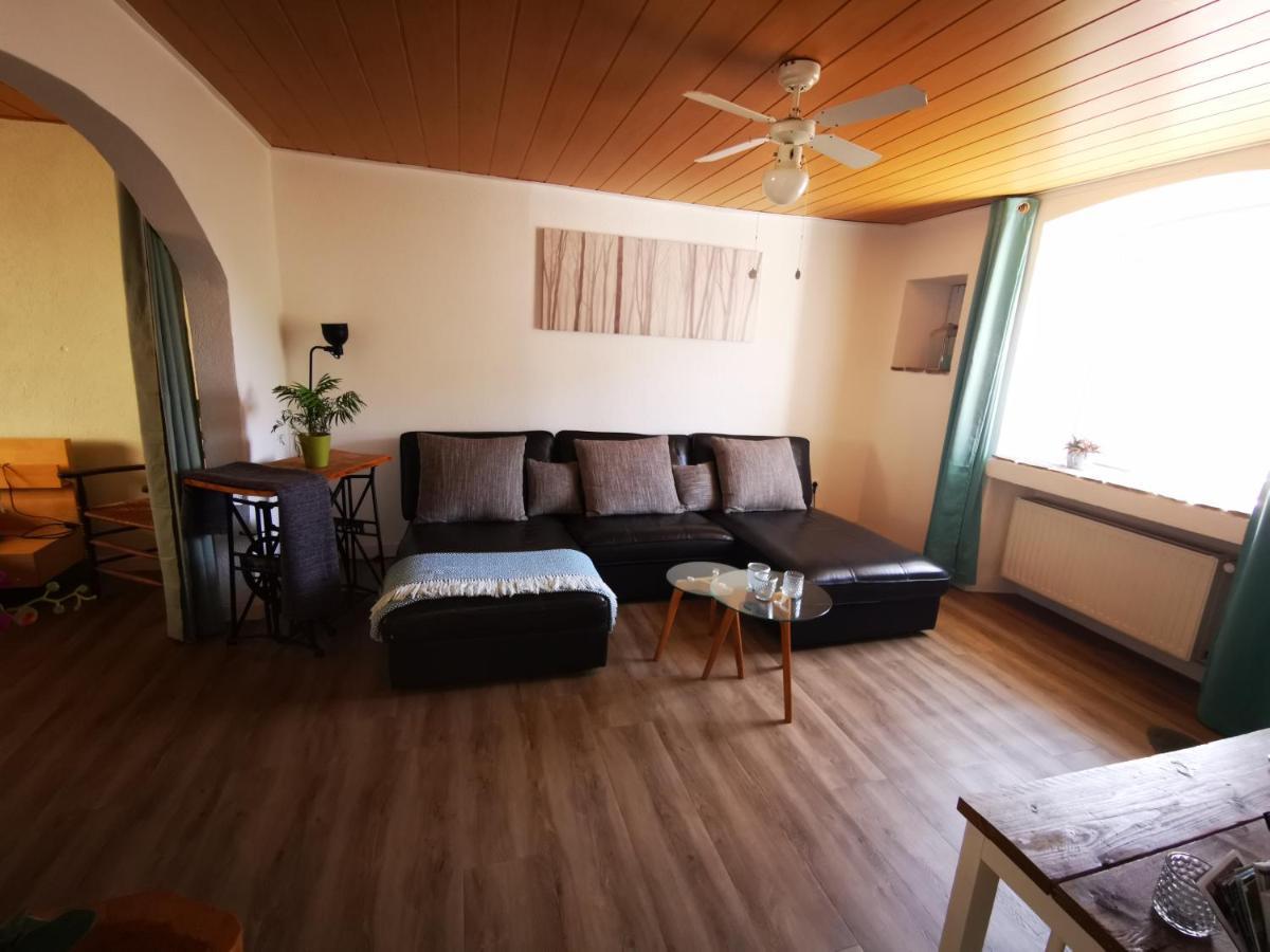 Mooi Ruim Appartement In Antieke Stadsboerderij Schönecken Εξωτερικό φωτογραφία
